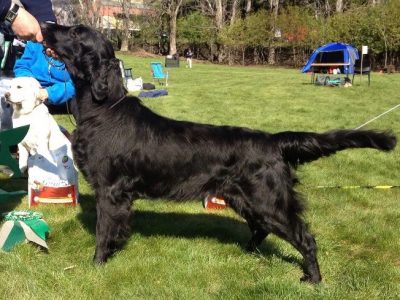 Kerry_Utstilling_BIS4 Kerry_Utstilling_BIS4